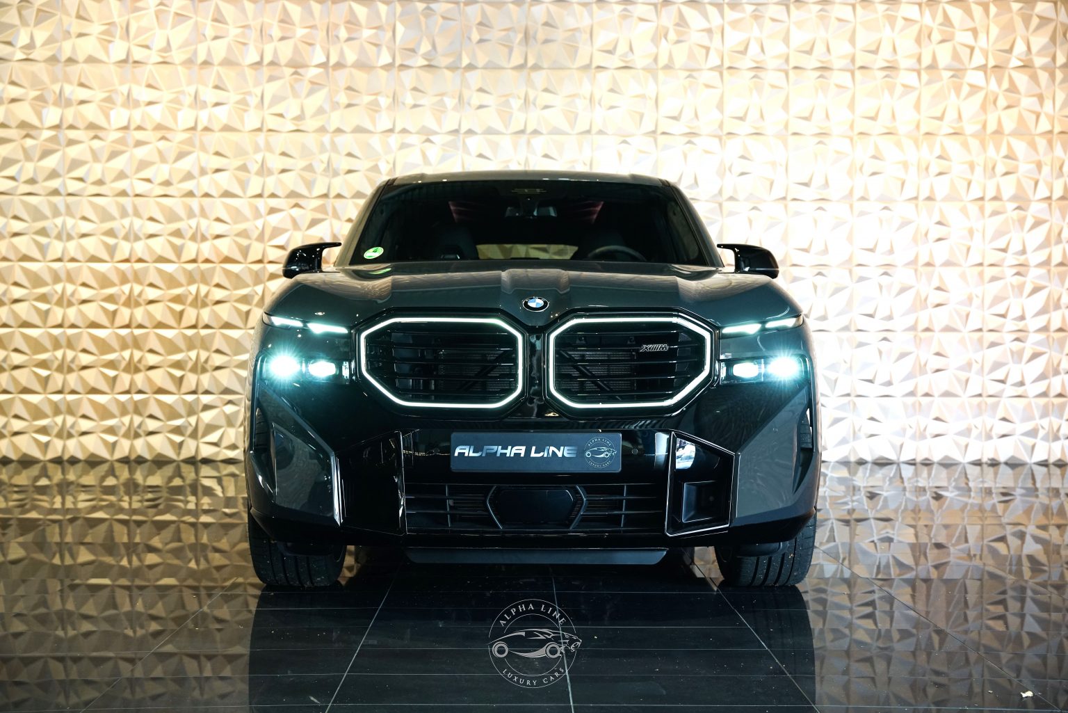 BMW XM (1 von 55)